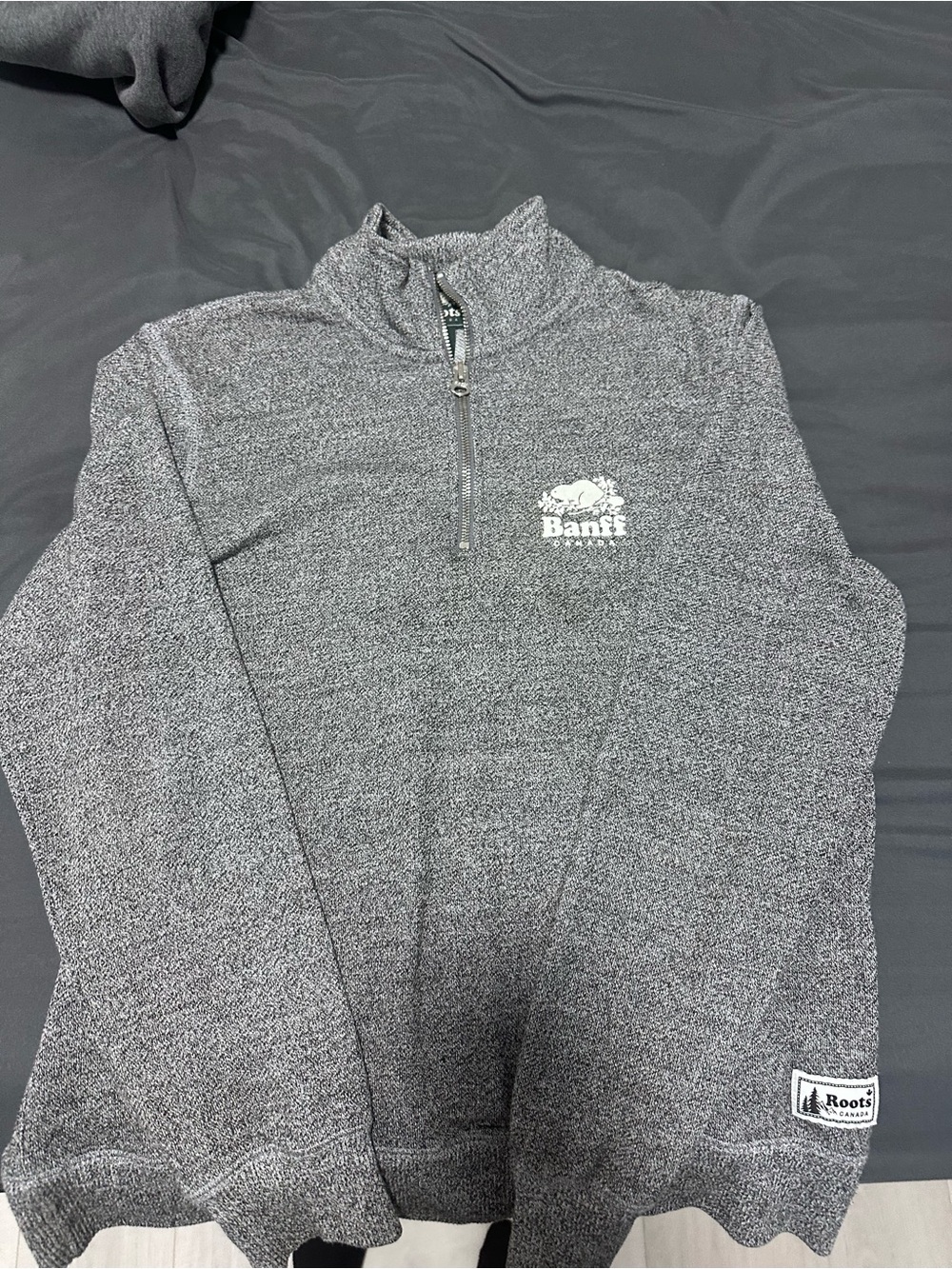 Roots Banff Men's Grey Quarter-Zip Sweater